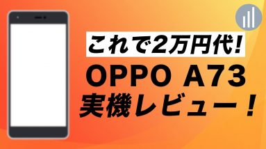 OPPO A73 実機レビュー！これで2万円代！有機EL6.44インチ4眼カメラの実力は？