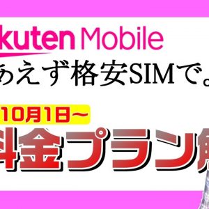 【楽天モバイル縛り違約金撤廃！】キャリア本格始動見送りで、とりあえず格安SIMで新料金プラン！？徹底解説！【説明欄補足あり】