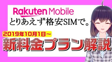 【楽天モバイル縛り違約金撤廃！】キャリア本格始動見送りで、とりあえず格安SIMで新料金プラン！？徹底解説！【説明欄補足あり】