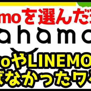 僕がahamoを選んだ3つの理由！なぜpovoやLINEMOを選ばなかったのか？【解説】【アハモ】【ドコモ】