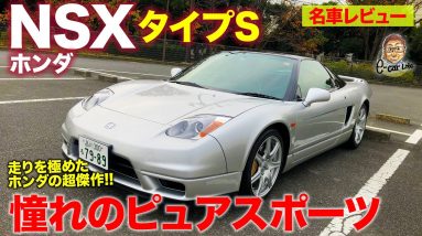 ホンダ NSX タイプS 【名車レビュー】90'sの憧れのピュアスポーツカー!! すべては走りのために作られた究極のボディ!! HONDA NSX E-CarLife with 五味やすたか