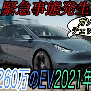 【既存メーカーマジでオワコンかも】テスラ最新ニュース【260万の自動運転対応コンパクトEVが2021年中にお披露目される可能性・インドネシアに新たなギガファクトリーが誕生する説濃厚】