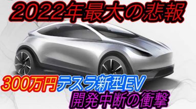 【EV購入検討者、完全終了のお知らせ、、】テスラが大衆EVよりも作りたいプロダクトとは！？　300万円以下で購入できるテスラ製新型コンパクトカー、「開発凍結」の衝撃