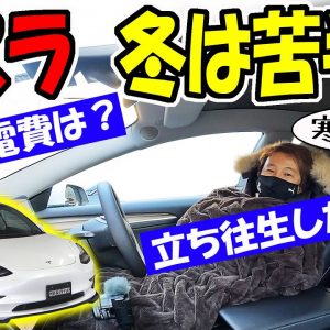 【テスラ】大雪で立ち往生したら？暖房付けての電費は？｜EVの弱点