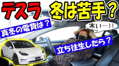 【テスラ】大雪で立ち往生したら？暖房付けての電費は？｜EVの弱点