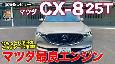 マツダ CX8 25T 2021 【試乗&レビュー】マツダで今一番のパワートレイン!? 上質な走りにマッチするパワーフィール!! MAZDA CX-8 E-CarLife with 五味やすたか