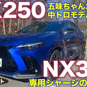 レクサス NX 350 & 250 【試乗レポート #3】ピュアガソリンモデルの実力は!? 試乗レビュー完結編!! LEXUS NX E-CarLife with 五味やすたか