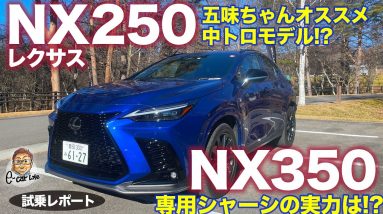 レクサス NX 350 & 250 【試乗レポート #3】ピュアガソリンモデルの実力は!? 試乗レビュー完結編!! LEXUS NX E-CarLife with 五味やすたか