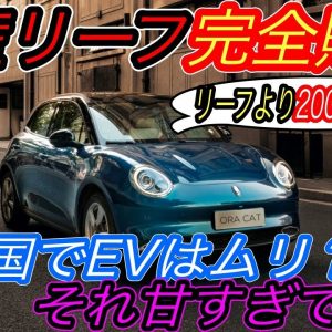 【発展途上国でEVが爆売れ！？】ポルシェの元デザイナーが手掛けたハッチバックEVが新興国のタイで爆売れ中　しかもリーフの性能、完全に超えちゃってる件