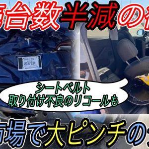 【緊急事態発生】電気自動車ニュース【中国テスラの販売台数が急落している可能性・NIOとXpengの販売台数が絶好調】