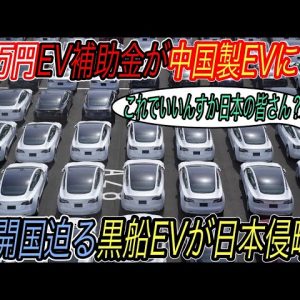 【日本人必聴・EVガラパゴスが日本を滅ぼす理由】電気自動車ニュース【EV開国を迫る黒船EVが日本市場トップの販売台数・NIOとXpengの販売台数が新たなステージに突入】