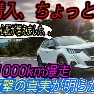 【EV推進の不都合な真実？】電気自動車で1000km爆走してみたら、とてつもない充電地獄にはまってしまった件《プジョー e-2008》