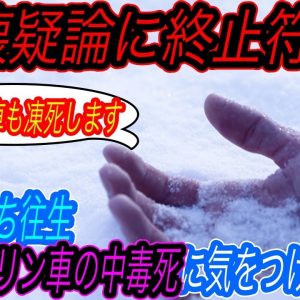 【ガソリン車の不都合な真実、暴露します】2022年最新版！　大雪立ち往生で生き残る確率が高いのは、「ガソリン車ではなくEVの方」であるという驚愕の真実