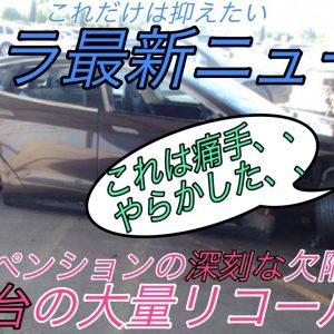 【最新情報】テスラ最新ニュース【中国で3万台の大規模リコールが発生・モデルYに対生物兵器モード実装か・ギガファクトリーがインドネシアに建設される可能性・韓国市場におけるテスラの快進撃】