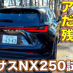 レクサス 新型NX250 試乗！ 買い得モデルだが、 唯一アレだけが気になる…ソレ以外はバランスの良い仕上がりだけに…