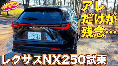 レクサス 新型NX250 試乗！ 買い得モデルだが、 唯一アレだけが気になる…ソレ以外はバランスの良い仕上がりだけに…