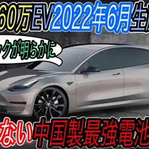 【米中EVメーカー夢のタッグ！？】中国BYDの最新バッテリーをテスラが購入し、260万円EVに採用＆2022年6月生産開始の可能性