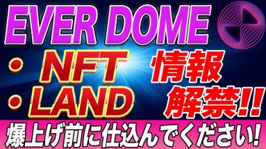 【今一番熱い】やっぱり『EVERDOME』が超熱い!!NFT・土地を購入するだけでも数千万の利益可能!?爆上げ寸前なので今のうちに仕込んで下さい。【仮想通貨】【エバードーム】