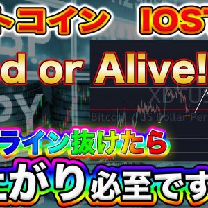 【ビットコインどっちにいく!?】BTC今が正念場!ここのライン越えるか超えないかで大暴落か大暴騰のどちらかが来ます!【仮想通貨】【IOST】