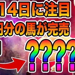 【SpeedStar】2月14日に注目！3億円を超えるNFTが完売！今最も旬なGameFiについて続報を解説！【P2E】