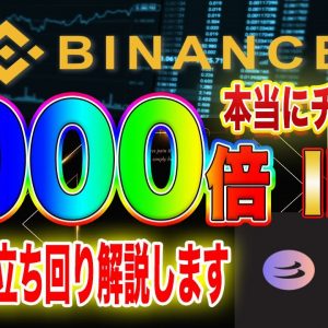 【残り時間は4日】1000倍銘柄BetaFinance!バイナンスIEOでの立ち回り方徹底解説します【仮想通貨】