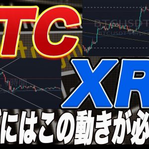 【底固め濃厚か】ビットコイン、リップル共に正念場!BTC、XRP爆上げに必要な動きをプロトレーダーが徹底解説!【仮想通貨】