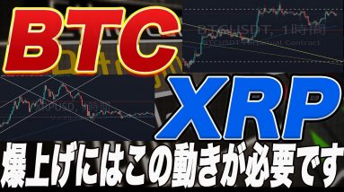 【底固め濃厚か】ビットコイン、リップル共に正念場!BTC、XRP爆上げに必要な動きをプロトレーダーが徹底解説!【仮想通貨】