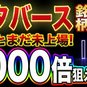 【激アツメタバース銘柄1つ紹介】次来るメタバース銘柄はこれ!誰でも資産1000倍チャンスです!【仮想通貨】【IEO】