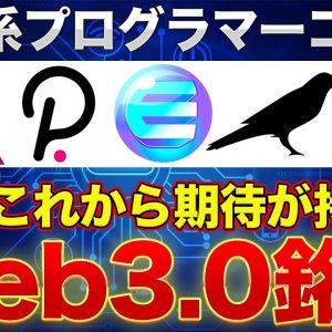 【Web3.0】儲かる銘柄は何？と言うかそもそも儲かるんですか！？投資系プログラマーコラボ【後編】