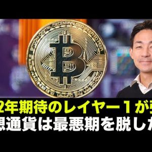 2022年期待のレイヤー１トークンが強い！仮想通貨は最悪期を脱した！