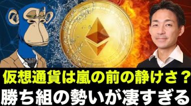 仮想通貨の勝ち組の勢いが凄すぎる！ビットコインは嵐の前の静けさか？