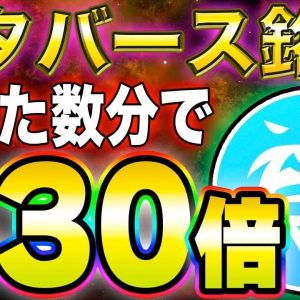 【Velhalla】メタバース最強！630倍になったコインの今後について解説