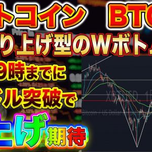 【BTC反撃開始】ビットコイン遂にトレンド転換間近!大事なのは月足と◯○!【仮想通貨】【リップル】