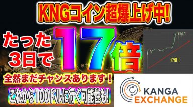 【今はIOSTよりもKNG】カンガコインの爆上げが止まりません!この波に乗りたい方必見です!【仮想通貨】