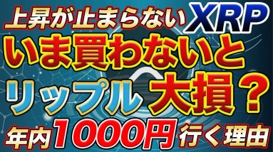 【持たないと損】リップル(XRP)さらに上昇で止まらない 〜年内1000円を越す理由〜