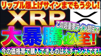 【XRP大暴騰寸前!】リップルで億るなら今がチャンス!これから超爆上がりする理由をプロトレーダーが徹底解説!【仮想通貨】