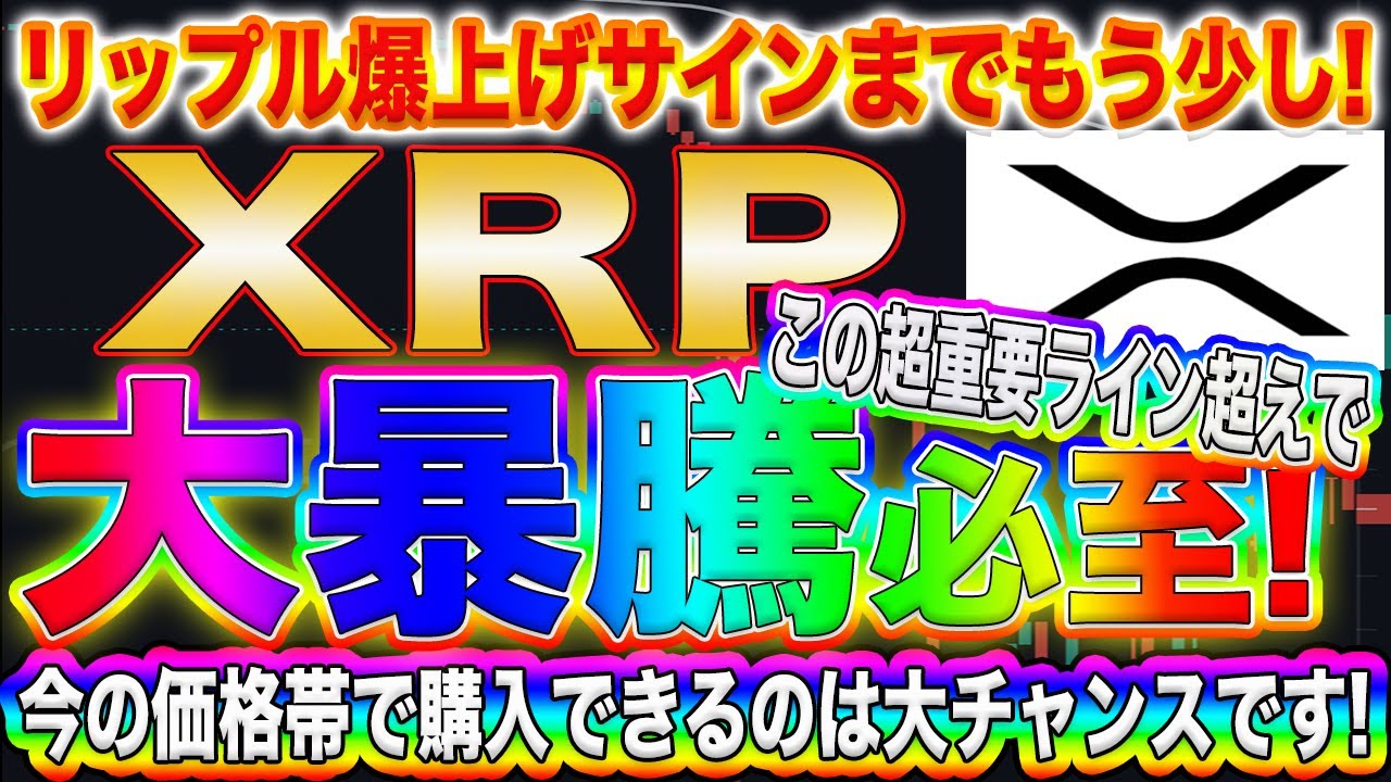 【xrp大暴騰寸前 】リップルで億るなら今がチャンス これから超爆上がりする理由をプロトレーダーが徹底解説 【仮想通貨】