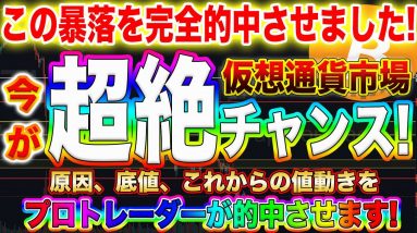 【即視聴推奨】ビットコイン、アルトコイン市場崩壊!この大暴落を的中させたプロトレーダーが今後の動きを的中させます【仮想通貨】