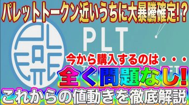 【まだ間に合う】パレットトークン近いうちに爆上げ確定!これからの値動きをプロトレーダーが完全予想します!【PLT】【仮想通貨】