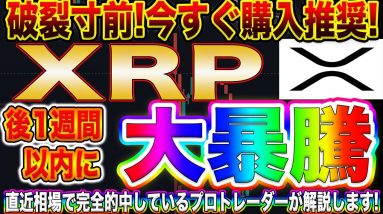 【XRP爆上がり寸前!】今はビットコインよりリップルが熱い!爆益の出るトレード方法をプロトレーダーが伝授します!【仮想通貨】