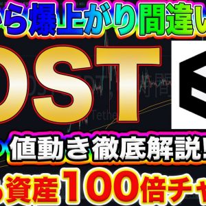 【IOSTは最短で億れます!!】ビットコイン以外の今話題のアルトコインIOSTの性能や今後の値動きを完全的中させます!!【仮想通貨】