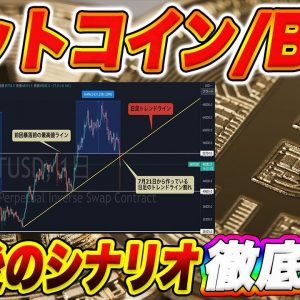 【BTC暴落後のシナリオ】ビットコイン注目するのはこの価格帯!これからの値動きをテクニカル分析を使ってプロトレーダーが分かりやすく解説します!【仮想通貨】