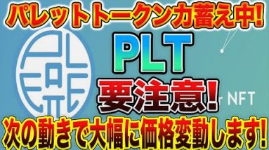 【PLT嵐の前の静けさ】パレットトークンに要注意!大幅な価格調整の可能性あります!損をしたくない人は見てください!【仮想通貨】【ビットコイン】