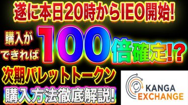 【本日20時からIEO】次期パレットトークン遂に解禁!購入できれば爆益間違いなし!この動画を見れば買い方分かります!【仮想通貨】【IOST】