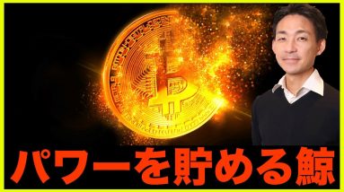 仮想通貨の潜在的な買い圧力。パワーを貯めるクジラ達。