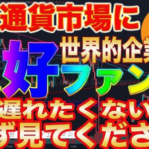 【すぐに見て下さい】遂に特大ファンダ出現!これからビットコインを買いたい方は必見です!【仮想通貨】