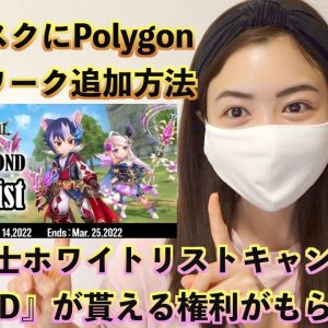 元素騎士『ROND』貰える権利獲得ホワイトリストキャンペーン開催中！メタマスクにPolygonネットワーク追加方法徹底解説！！！