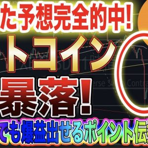 【BTCバブル終焉か】ビットコインいきなり大暴落!ただ相場が大きく動いた時は爆益の大チャンス!これからの動きを徹底解説します!【仮想通貨】