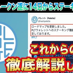 【パレットトークンステーキング開始へ】PLTこれから爆上げ確定⁉︎値動き気になる方必見です!【仮想通貨】