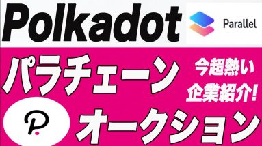 【ポルカドット】今一番熱くて利益を出しやすいパラチェーンオークションの参加方法はこれ!一つの企業で複数のクラウドローンに参加できる方法を分かりやすく解説します!【仮想通貨】